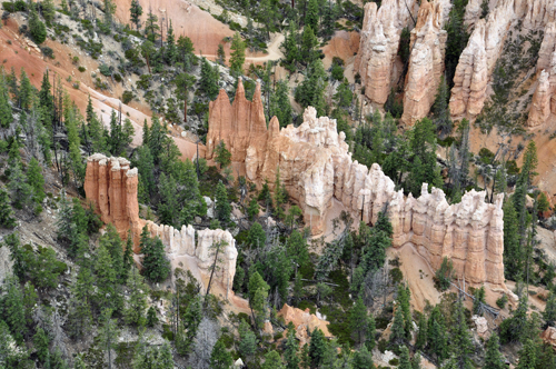 hoodoos in the trees